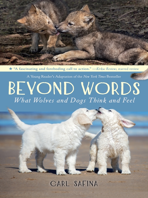 Title details for Beyond Words by Carl Safina - Available